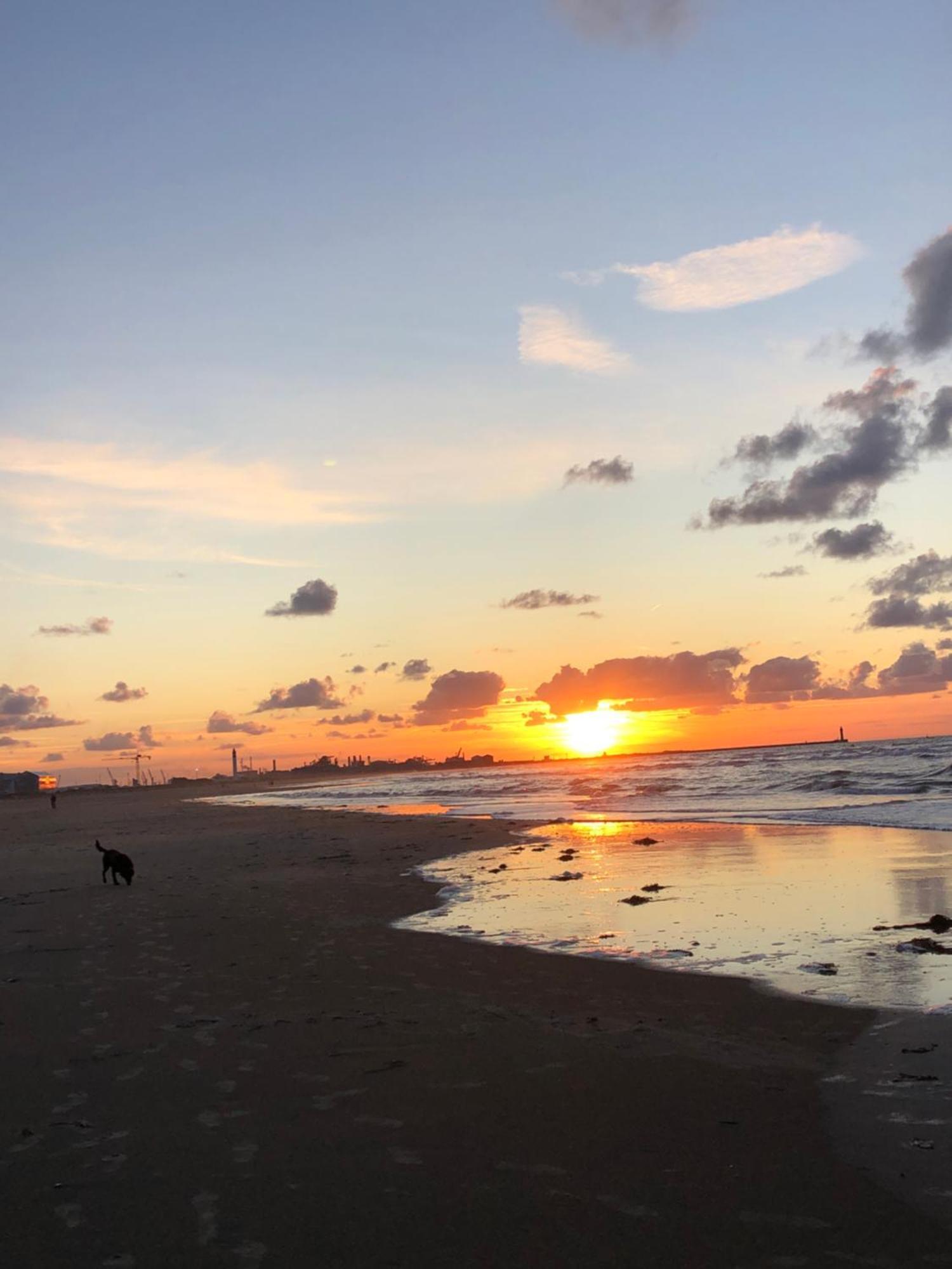 Appartement sur la plage de Malo les bains vue mer Dunkirk Extérieur photo